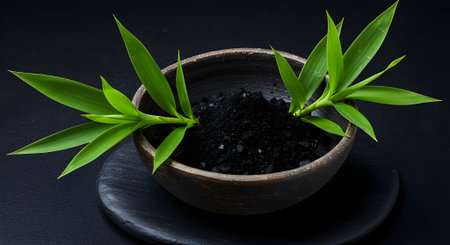 Minimalist setup of green bamboo leaves and detoxifying clay â suited for purifying skincare content.の素材