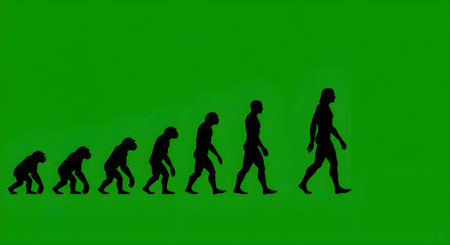 Silhouettes of hominid evolution transitioning to modern human, great for scientific, educational, or conceptual presentations.の素材