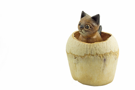 brown wood cat statue in coconut shell isolated on white backgroundの写真素材