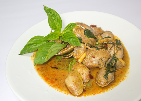 stir fried clams with roasted chili paste on white dish and white backgroundの写真素材