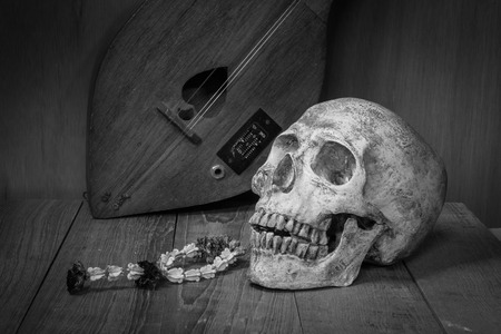 human skull and garland jasmine still lifeの写真素材