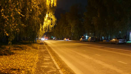 Autumn road in the park at night. Yellow leaves on the asphalt.の写真素材