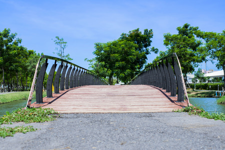 Green city park bridgeの写真素材