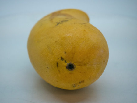 Fresh and delicious Mango