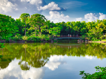 A walk in the park is a great way to get some fresh air, enjoy nature, and refresh your mind, If youâve ever wanted to take a walk in the park, but canât find the time, then this iの写真素材
