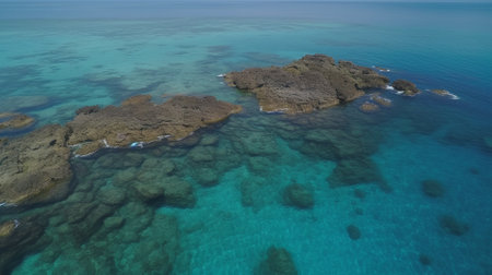 Aerial view of the coral reef in the sea. Seascape from drone.の素材