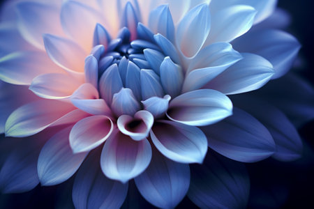 Close up of blue dahlia flower. Shallow depth of field.の素材