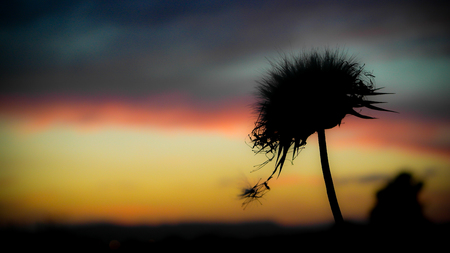Sunset Skiesの写真素材