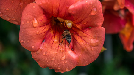 Spring captures on blooming flowers