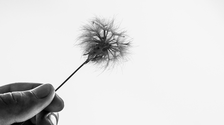 Holding the natureの写真素材