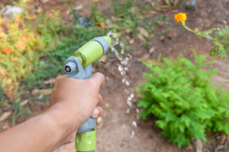 watering the plants with spray gunの写真素材