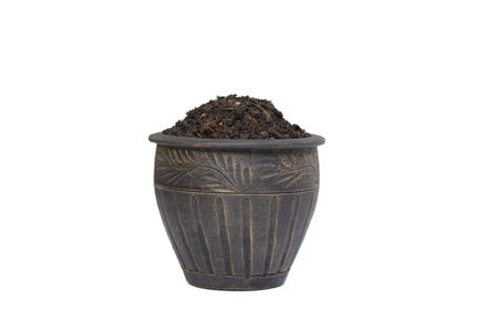 flowerpot isolated on white backgroundの写真素材