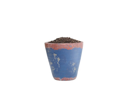 Flowerpot isolated on white backgroundの写真素材