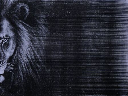Black and white wood grain pattern as a background with a half-faced lion overlaid on of it.Generative AI.の素材