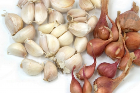 Garlic and Onion on whiteの写真素材
