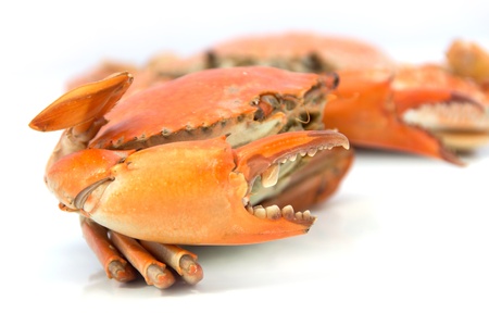 boiled crabs preparedの写真素材