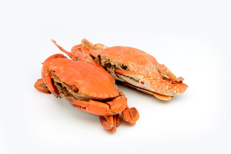 boiled crabs preparedの写真素材