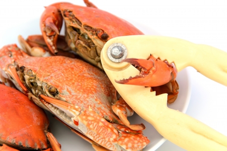 boiled crabs preparedの写真素材