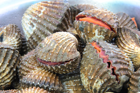 A fresh cockles for sale at a market