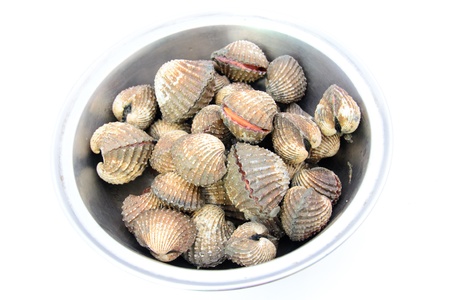 a fresh cockles for sale at a marketの写真素材