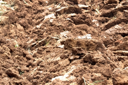 Tractor plowing a furrow for plantingの写真素材