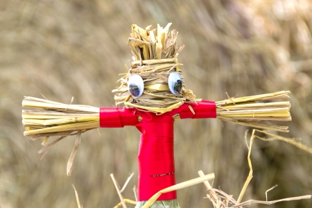 straw puppetの写真素材