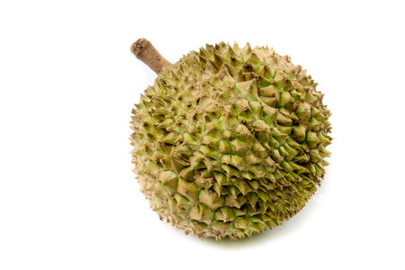 Durian King of fruit Thailand