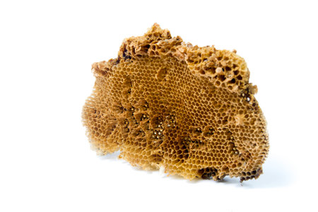 honeycomb