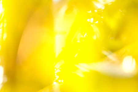 Abstract yellow backgroundの写真素材