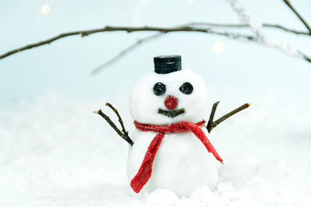 Snowman in a winterの写真素材