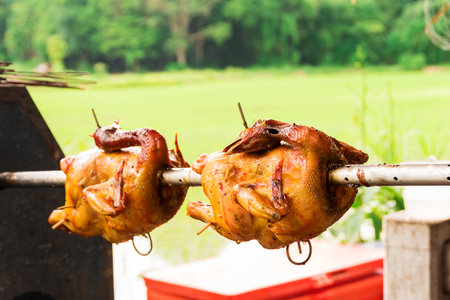 Grilled Chicken Thai style,Grill Chicken Barbecue, Roasting chicken traditional Thai foodの写真素材