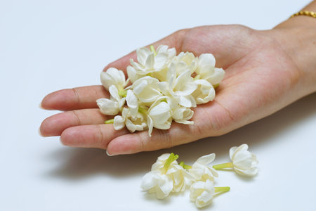 Jasmine flowers in hands of young mother and kid on white background, all ages of Thai people always give or present jasmine flowers to their mothers to pay respect on Mother's Day, August 12 of every year.の写真素材