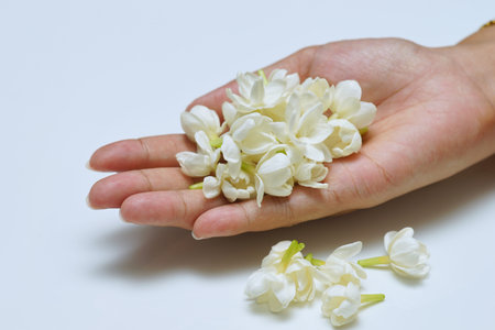 Jasmine flowers in hands of young mother and kid on white background, all ages of Thai people always...