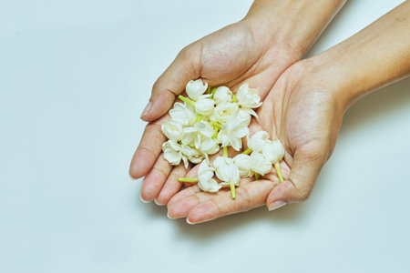 Jasmine flowers in hands of young mother and kid on white background, all ages of Thai people always give or present jasmine flowers to their mothers to pay respect on Mother's Day, August 12 of every year.の写真素材