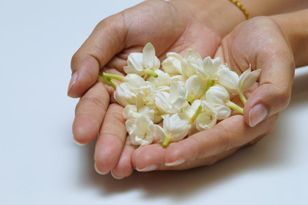 Jasmine flowers in hands of young mother and kid on white background, all ages of Thai people always give or present jasmine flowers to their mothers to pay respect on Mother's Day, August 12 of every year.の写真素材