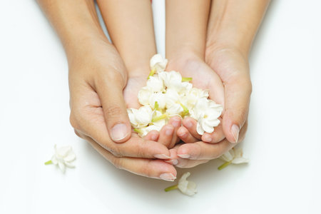 Jasmine flowers in hands of young mother and kid on white background, all ages of Thai people always give or present jasmine flowers to their mothers to pay respect on Mother's Day, August 12 of every year.の写真素材