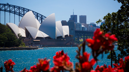 Sydney Harbour during sunny day with bokeh of red flower in the foregroundのeditorial素材