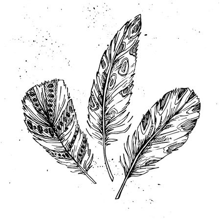 Hand drawn vector vintage illustration - Feathers. Ink and featherのイラスト素材