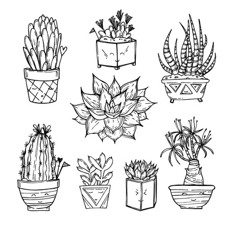 Hand drawn illustration - Set of cute cactus and succulents. Vectorのイラスト素材