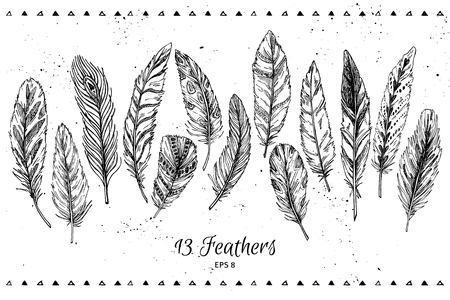 Hand drawn vector vintage illustration - Feathers. Ink and featherのイラスト素材