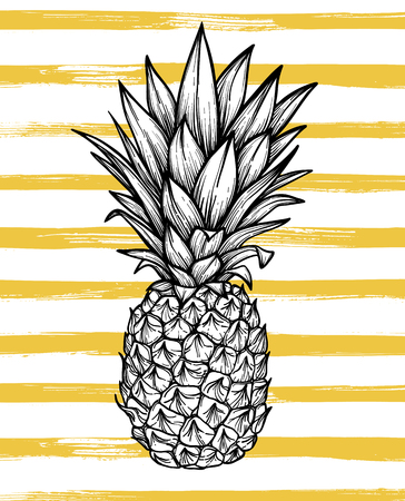 Hand drawn vector illustration - Pineapple with striped background. Exotic tropical fruit. Sketch. Outline. Perfect for invitations, greeting cards, blogs, posters etc.のイラスト素材