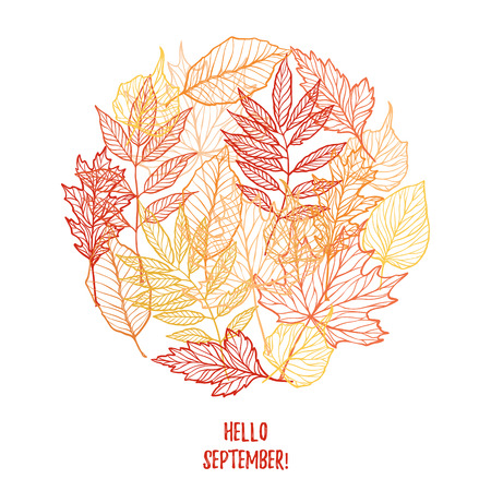 Hand drawn vector illustration. Background with Fall leaves. Autumn design elements. Hello September!のイラスト素材