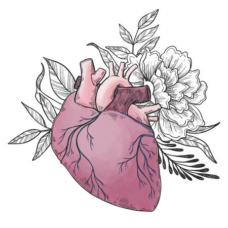 Hand drawn vector illustrations - Human heart with flowers and leaves. Floral design elements. Perfect for invitations, greeting cards, quotes, blogs, posters.のイラスト素材