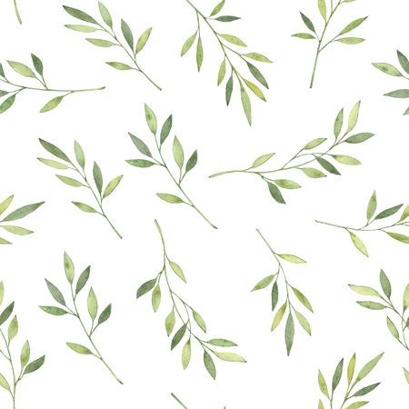 Hand drawn watercolor illustration. Botanical background with green leaves, branches and herbs. Floral Design elements. Perfect for wedding invitations, greeting cards, textiles, prints, posters, packing etcの写真素材