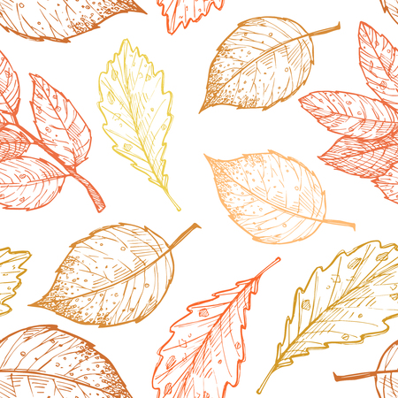Hand drawn illustrations. pattern with leaves. Forestのイラスト素材