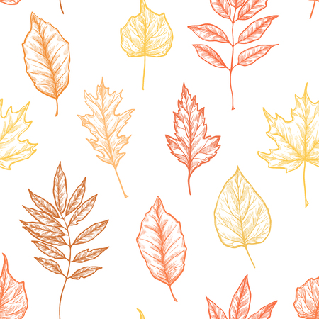 Hand drawn illustrations. pattern with leaves. Forestのイラスト素材