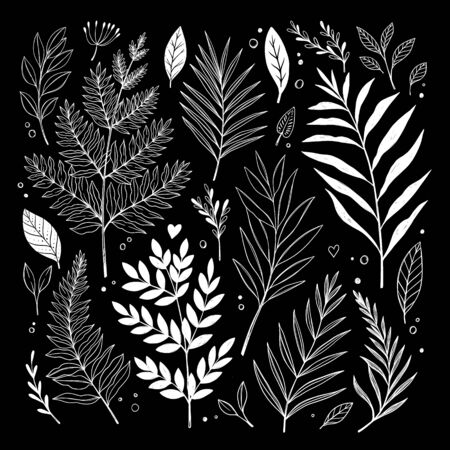 Hand sketched vector vintage elements ( herbs, leaves, flowers, branches). Wild and free. Botanical illustrations. Perfect for invitations, greeting cards, quotes, blogs, Wedding Frames, postersのイラスト素材