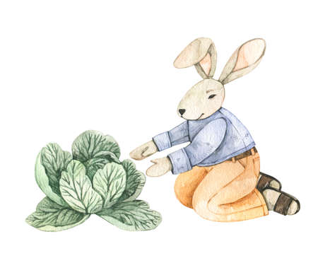 Watercolor cute bunny gardener with cabbage. Spring summer. Baby character. Perfect for invitations, greeting cards, packing, prints, Baby showerの写真素材