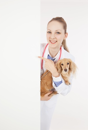 Veterinarian doctor with dog with empty boardの写真素材