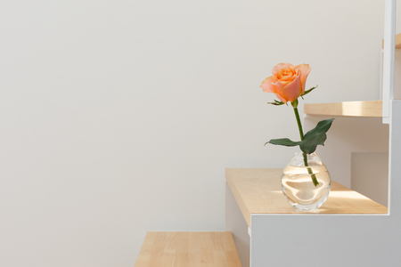 Roseの写真素材
